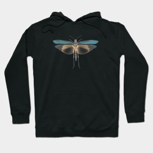 Moth in Pastel Colors Hoodie